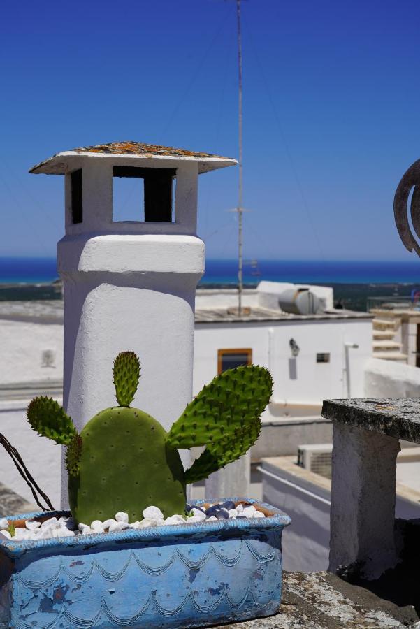 Casabella - Con Terrazza Panoramica Villa ออสตูนี ภายนอก รูปภาพ